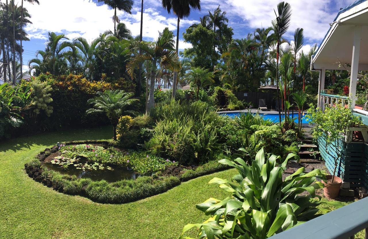 Orchid Tree B&B Paukaa Ngoại thất bức ảnh